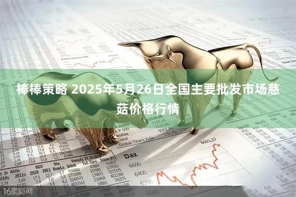 棒棒策略 2025年5月26日全国主要批发市场慈菇价格行情