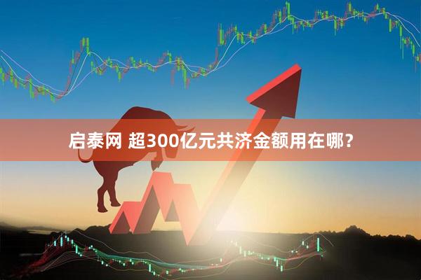 启泰网 超300亿元共济金额用在哪？