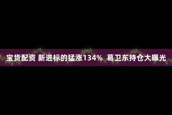 宝货配资 新进标的猛涨134%  葛卫东持仓大曝光
