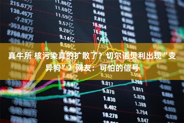 真牛所 核污染真的扩散了？切尔诺贝利出现“变异狗”？网友：可怕的信号